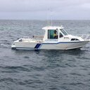 david stacey - @DaveDstacey - Twitter