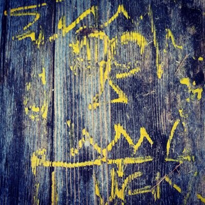 josh_behnke's profile picture. Kamrynn is my dog(child) I’m engaged to Autumn RaeAnn Shinn💍 She is the light of my life and I can’t ask for more❣️🥰