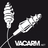 vacarm's profile image
