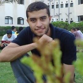 Adore Arabic Language, studying Engineering, Inspired by MOOCs, Anti-regime Egyptian, raising awareness, searching for changing The WORLD with Islamic DYE