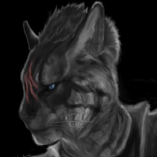 I am Ves'Kal i am a Khajit adventrer living my life in Skyrim i am a warior i will one day find my fortun ive been seeking. #Single #RP #Taken by tomato