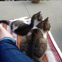 Beverly Stone - @Beverly18609224 - Twitter