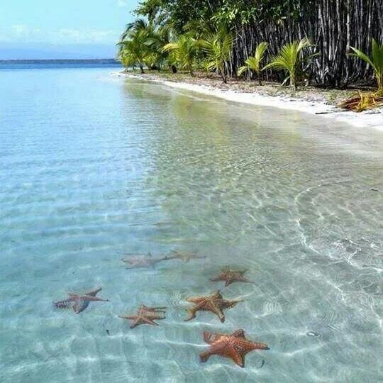 Open your eyes and see all the beautiful places around the world.