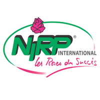 NIRP INTERNATIONAL(@NirpRoses) 's Twitter Profile Photo