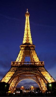 0hamalya's profile picture. love my bff lotte!!!