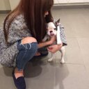 Xin Ding - @dingxin20132013 - Twitter