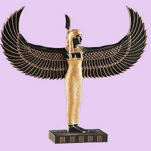 Astraea8081's profile picture. 