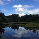 Cory Mays - @Real_corymays - Twitter