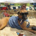 AdrianMaxwell - @AdrianMaxwell62 - Twitter