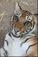 anndrsmp's profile picture. 