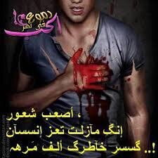 amgaad285's profile picture. 