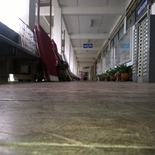 PonneyPerry's profile picture. 1 of Katy Perry FANS - ☺ & ❤ Katy Perry & Steven George Gerrard & etc. & Me