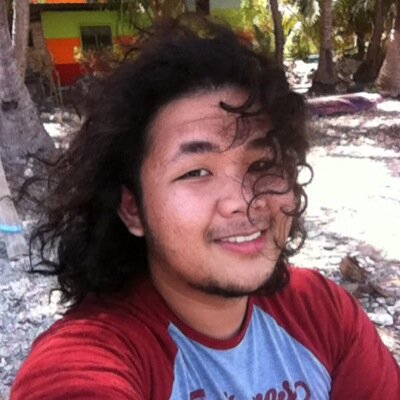 Software Developer