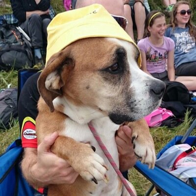 taylor1137's profile picture. 