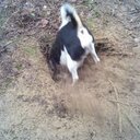 Fred Wittenberg - @fred_wittenberg - Twitter