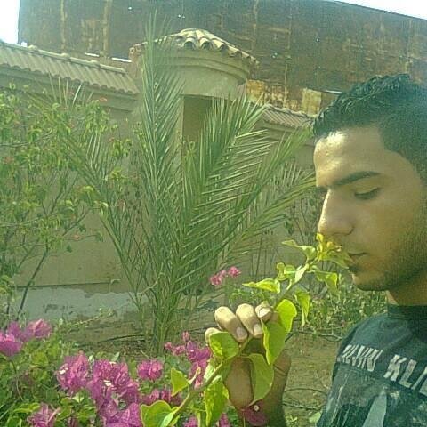 الازهر يطالب بتطبيق الشريعه