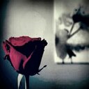 H (@05_Hq) Twitter