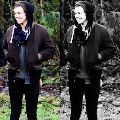 ❁ I rather wear flowers in my head than diamonds around my neck ❁ harry fucking styles noticed me in the crowd