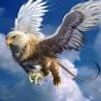 hasan kam (@hhasan21188) 's Twitter Profile