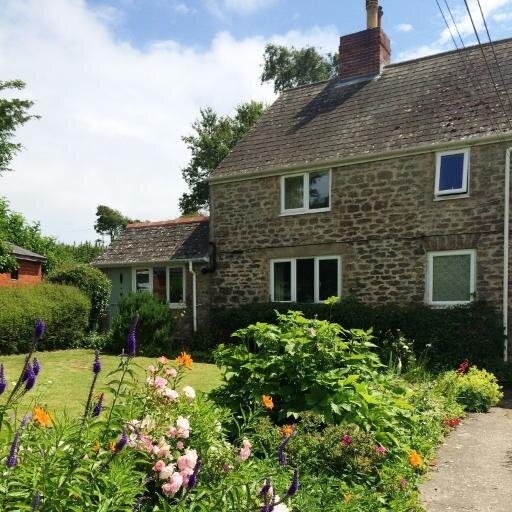 meadowcott's profile picture. Beautiful cottage in the heart of West Dorset, close to the foodie town of Bridport, Antiques shops and the Jurassic coast