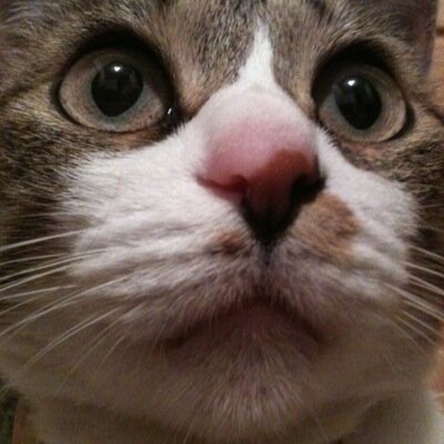 3hikariss's profile picture. 最近 one ok rock にはまっています。 一緒にライブ行ってくれたりする人、募集中です (*´ω｀*)