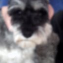 Steve Dempsey - @dempseyjstephen - Twitter