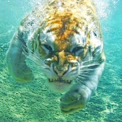 larry2417's profile picture. 