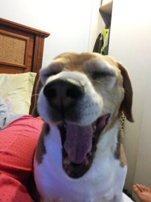 dano_poblete's profile picture. Medico Veterinario.  Todo en la vida cuesta. pero siempre hay q tomar el camino largo para hacer bien las cosas. Inmensamente Feliz!!!