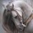 roze0018's profile image