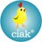 CIAK MEDIA 