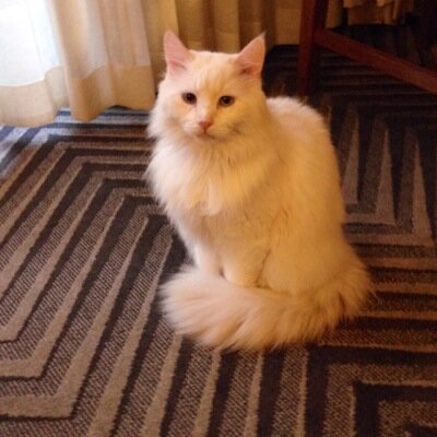 keywester55 Profile Picture