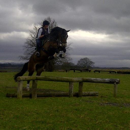 SmeatonEventing's profile picture. 