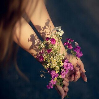 hsoosah1122's profile picture. 