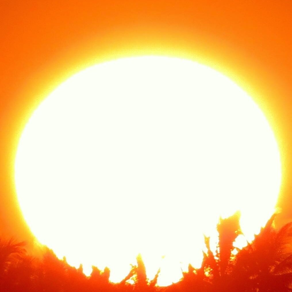 1freesol's profile picture. 