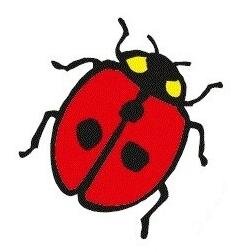Il Twitter ufficiale del Sindacato A.I.R.