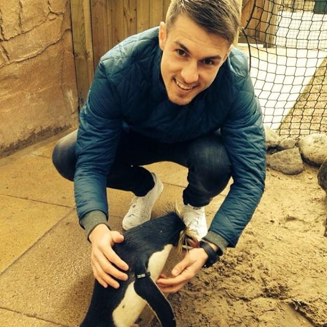 princewalido12's profile picture. راني اعتزلت الحب تاع شكوبي   -_- نرجع لعادتي القديمة التمهبيل