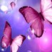 Rabab Hasan (@rabab1908) Twitter profile photo Rabab Hasan (@rabab1908) Twitter profile photo