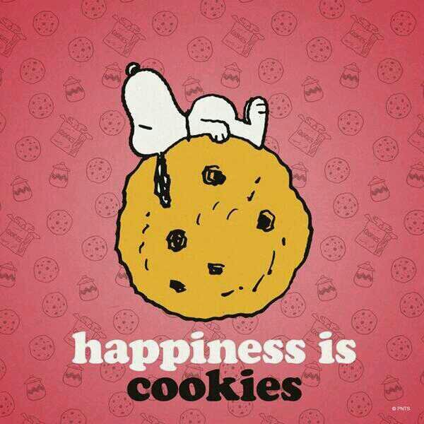 C6H6_otn's profile picture. どーせみんなやりたいこと一緒でしょ？フォロワー多い方が得なら相互フォローしようよ。