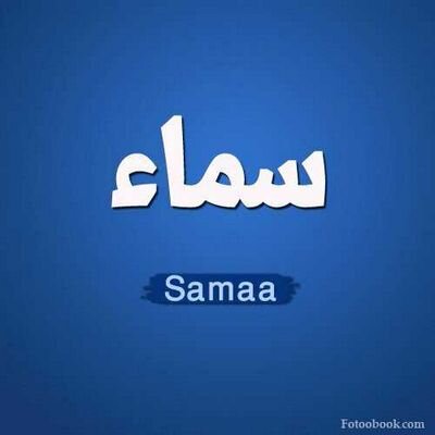 iccsportz's profile picture. 