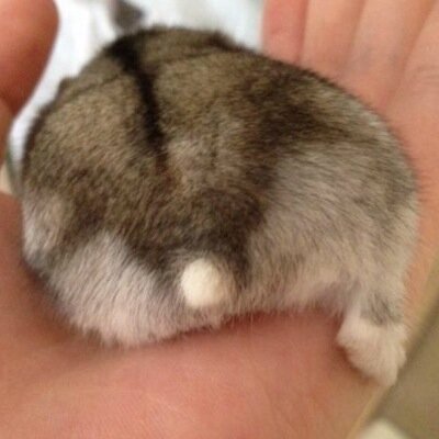 arinkooo_ken's profile picture. 日常垢 UVERworld(古のNSWcrew)/K-POP/ゲーム/アニメいろいろ リィンカネ/ゼンゼロenjoy勢 賢雄さん推し