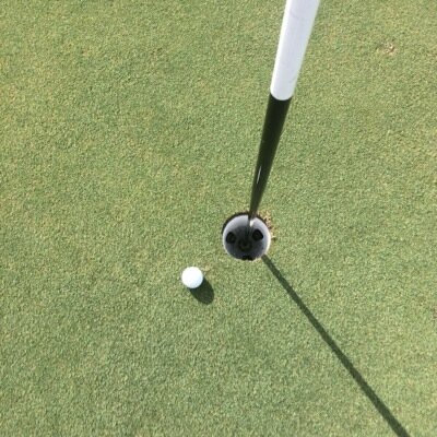 JaredHarp1's profile picture. Longhorns, Mavs, Golf, Rangers, Hunting, Fishing, P1