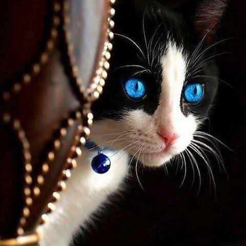 ENTRE_LAS_OLAS's profile picture. El corazón, al igual que la uva, es dado a entregar su cosecha en el mismo momento en que parece estar aplastado