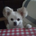尚子 (@0219Pontalove) Twitter