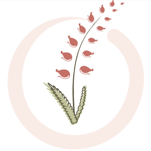 HeatherInc's profile picture. A natural foods chef and a holistic health and lifestyle aficionado. Oh, and I love to dance.