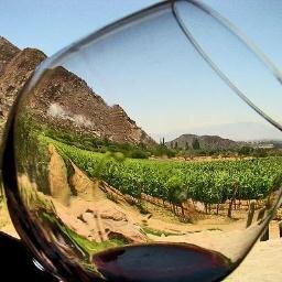 La pasion por los vinos mexicanos crece mas y mas.