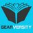 gearversity's profile image