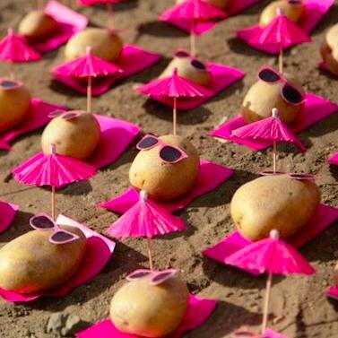 paaaaatate's profile picture. Patate de Normandie, maman de 5 patates