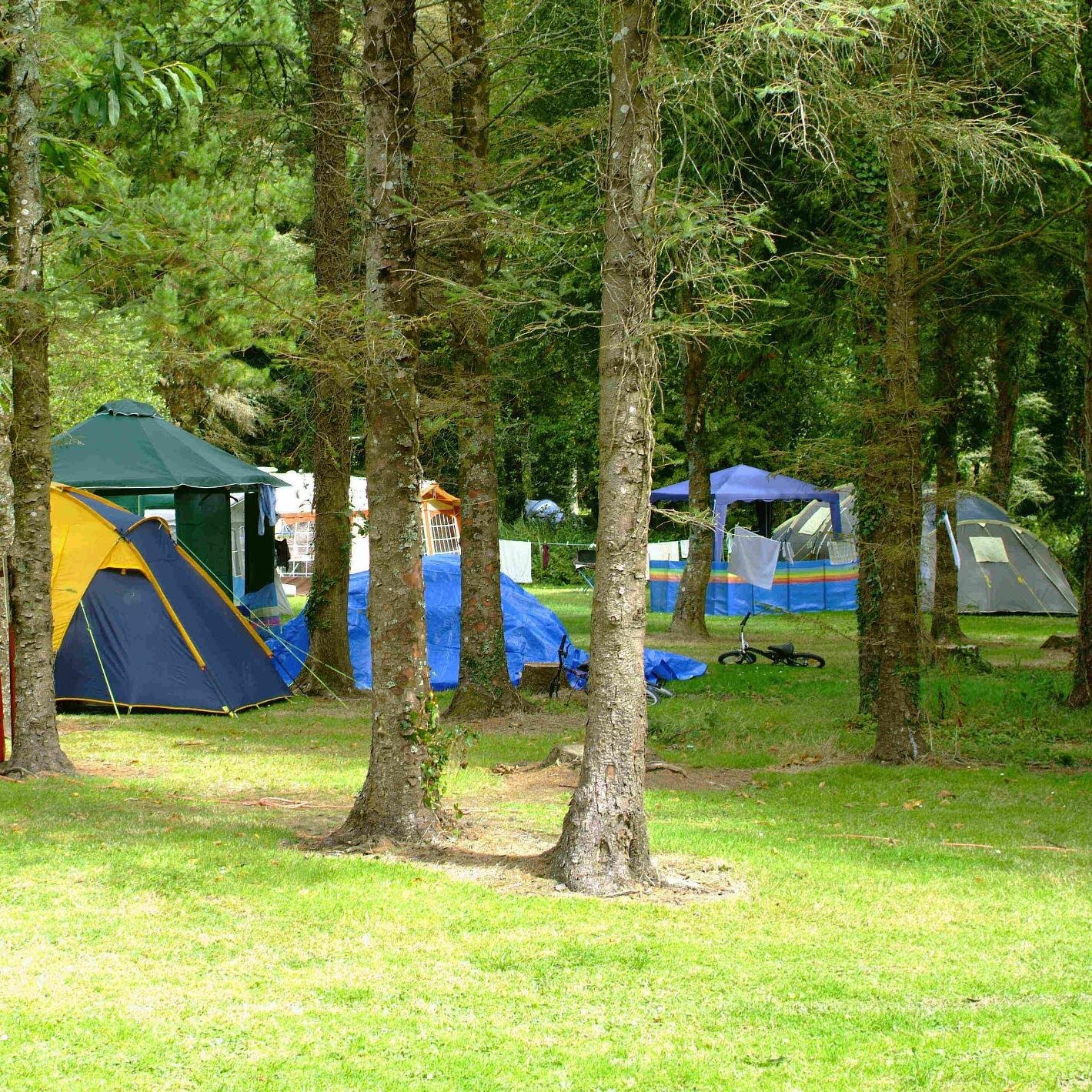 Camping & Caravanning Park