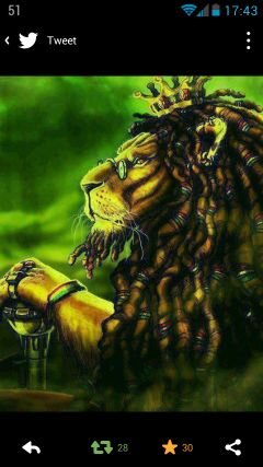 DuviWeed's profile picture. rasta reparador de sonrisas y poseedor del secreto para sanar las almas