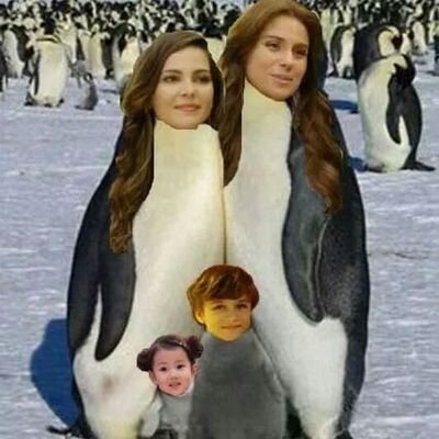 MarinaoPinguin's profile picture. clarina pq sim.